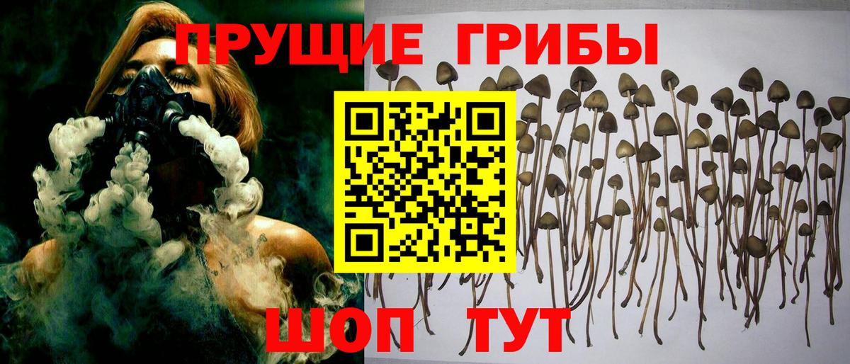 Галлюциногенные грибы мухоморы Сургут